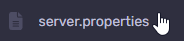 server properties file
